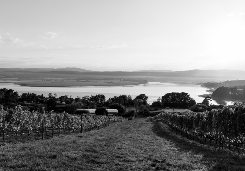 The Swiss Winemaker Who Said “I Do” to Tasmania (and a Tasmanian)