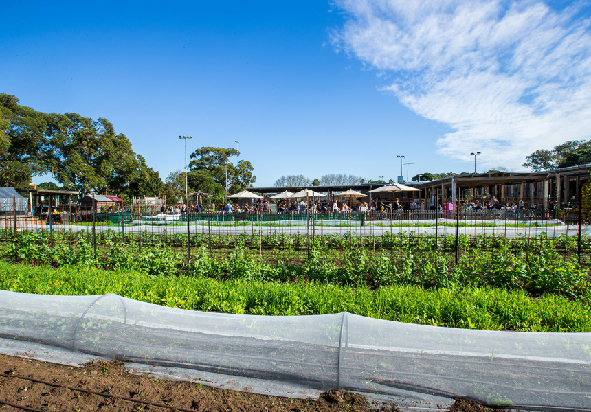 Farmarama at Pocket City Farms