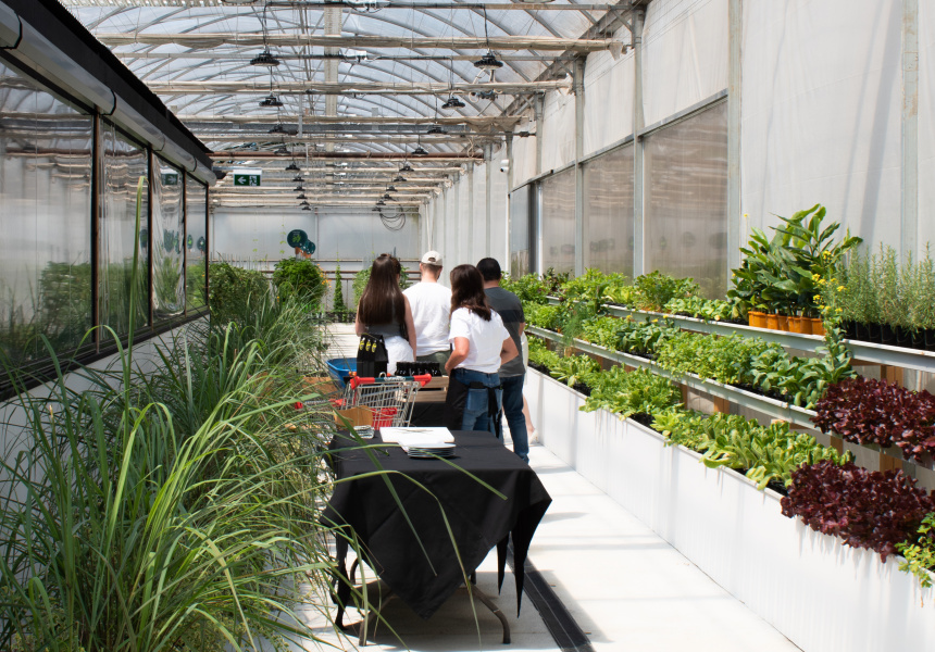 First Look: Pick Your Own Produce in a Sprawling 4000-Square-Metre Greenhouse at Gateway in the Yarra Valley