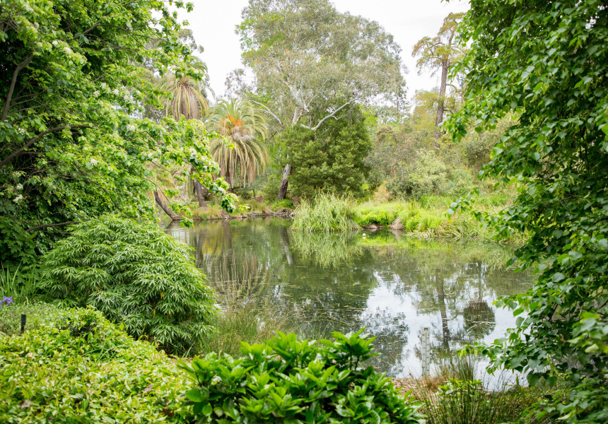 Victoria’s Royal Botanic Gardens Are Reopening