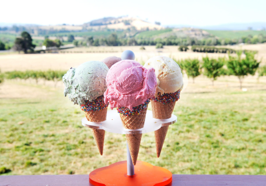Yarra Valley Ice Cream Festival 2016