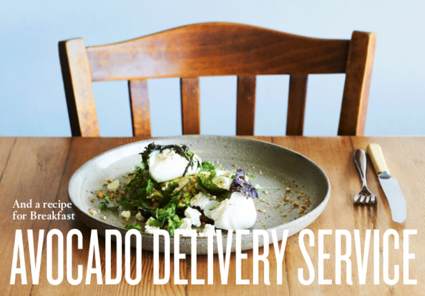 Avocado Delivery Service (and a recipe for breakfast)