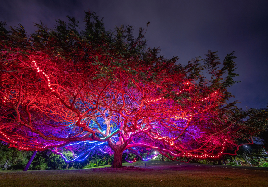 Bite Size: Five New Things in Brisbane You Need to Know This Week – April 27, 2022