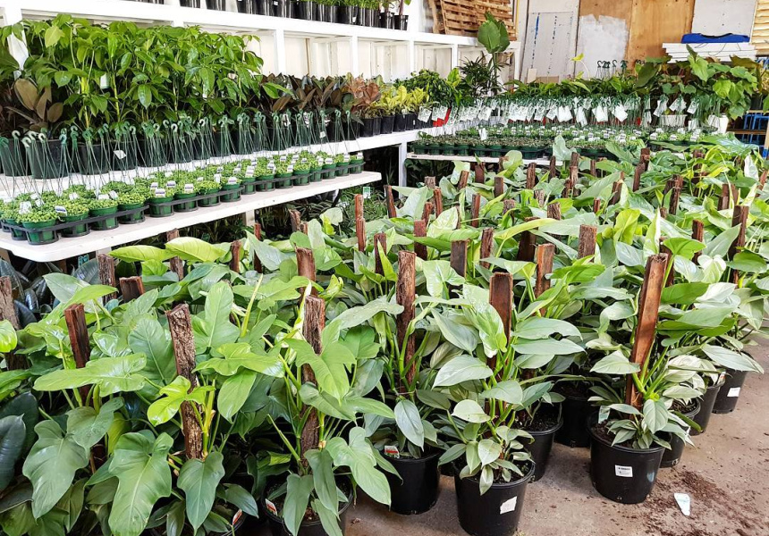 Melbourne Sales Wrap Best of the Week Jan 25, 2018