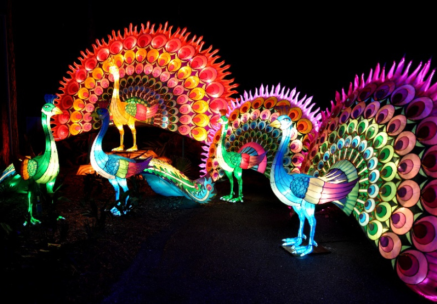 Dandenong Festival of Lights