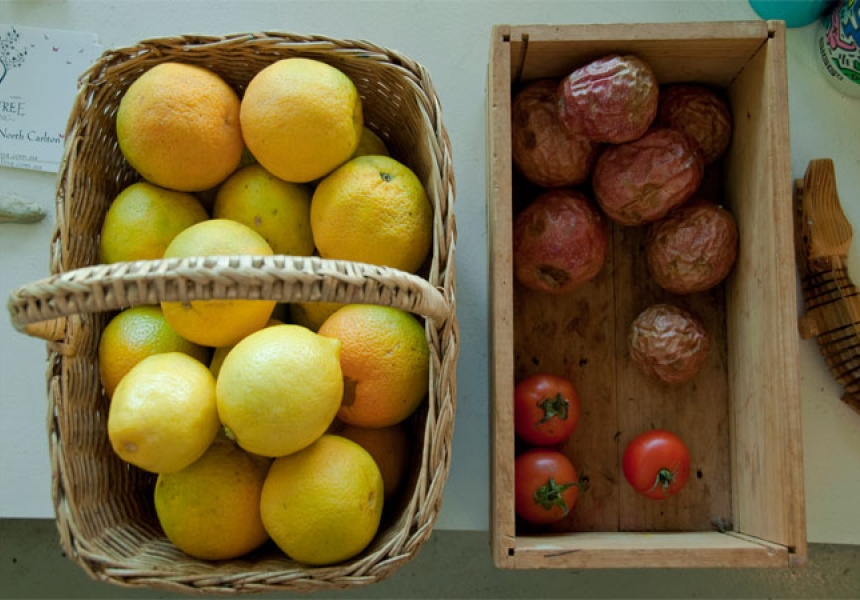 Ripe For The Picking