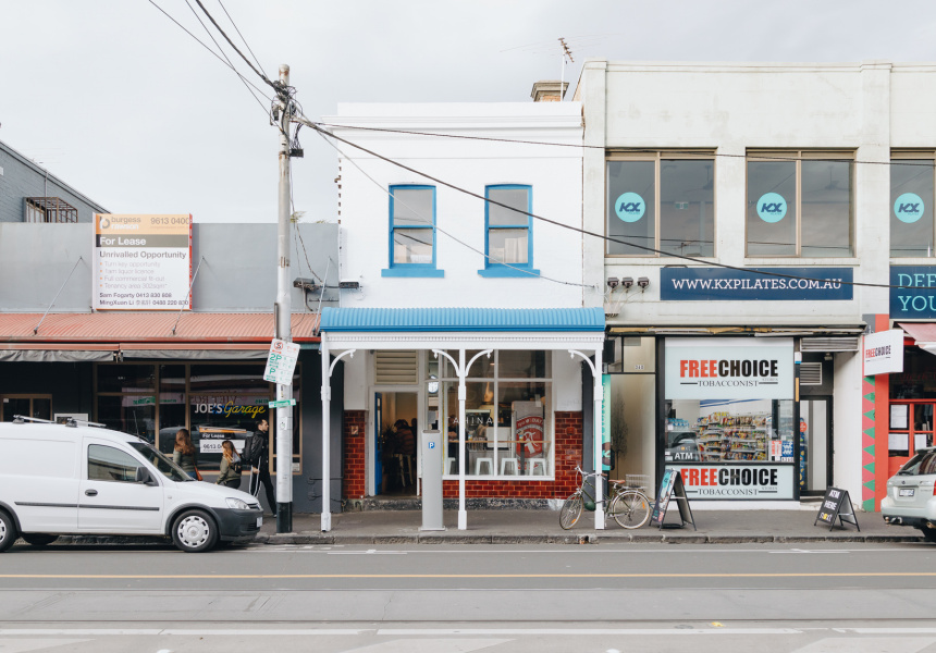 Tahina Gets a Sibling in Fitzroy