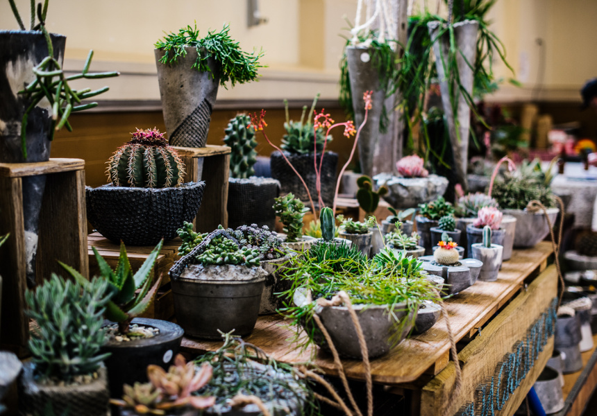 The Makers and Shakers Market