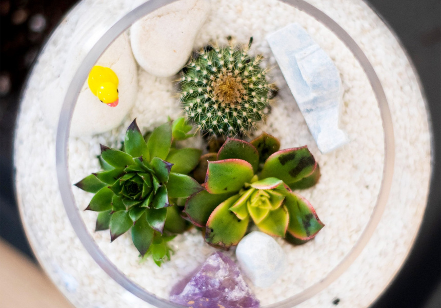 BuildYourOwnTerrarium Bar