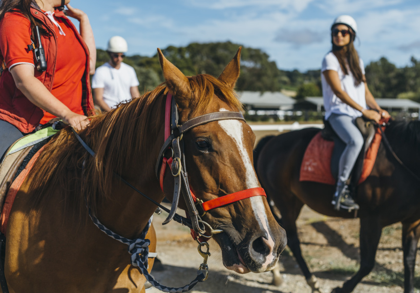 horse riding wine tour mornington peninsula