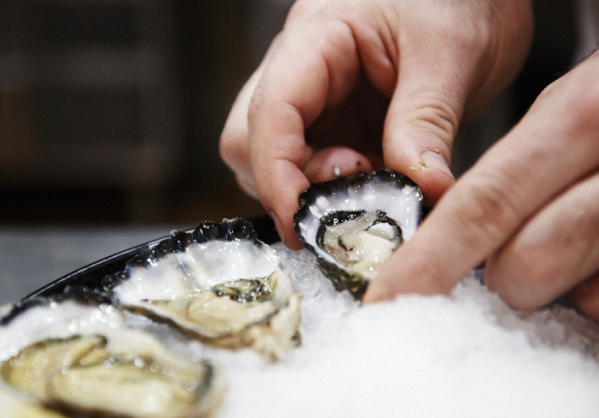 Splash Brothers Oyster and Champagne Bar at MonoXO