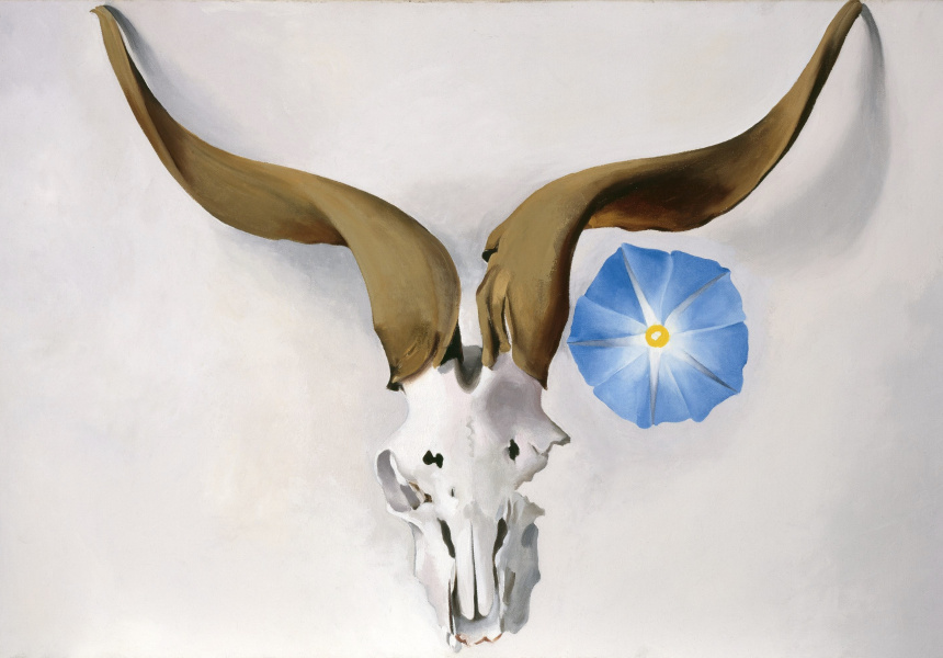 Georgia O'Keeffe 
Ram's Head, Blue Morning Glory, 1938  oil on canvas 
50.8 x 76.2 cm 
Georgia O’Keeffe Museum 
Gift of The Burnett Foundation 
© Georgia O’Keeffe Museum
