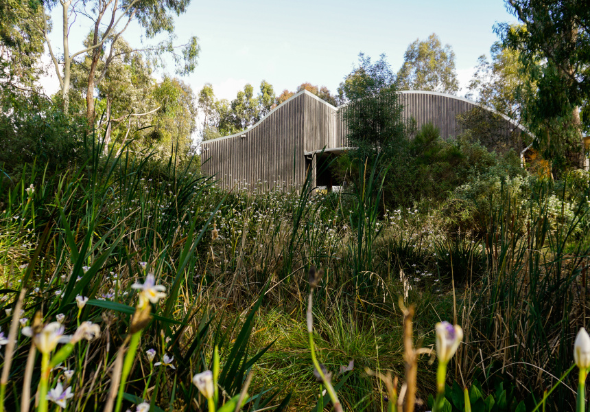 Tahbilk Winery
