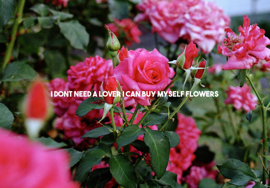 I Don't Need a Lover I Can Buy Myself Flowers
