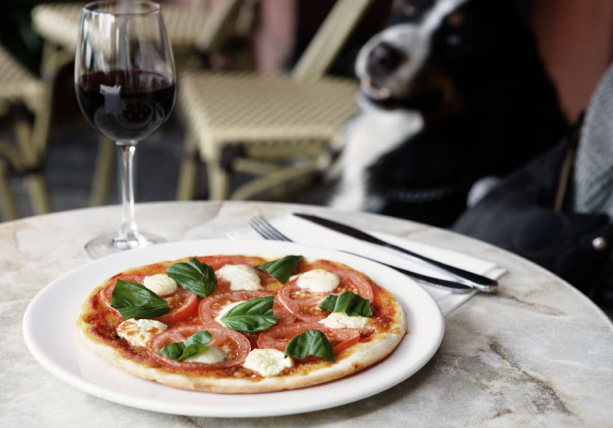 5 Cheap Eats Under 15 St Kilda