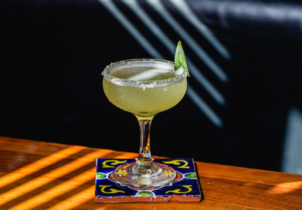 Best Tequila and Mezcal Bars in Sydney