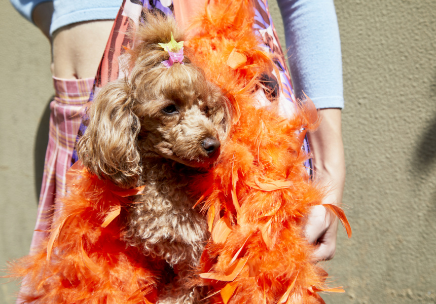 Street Style: Outside the Harry Styles Concert in Melbourne