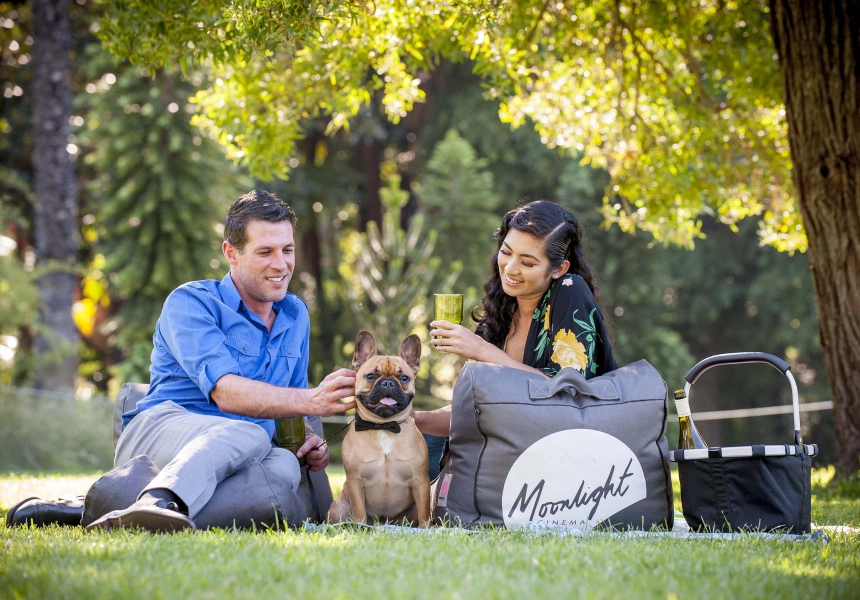 Moonlight Cinema at Roma Street Parkland