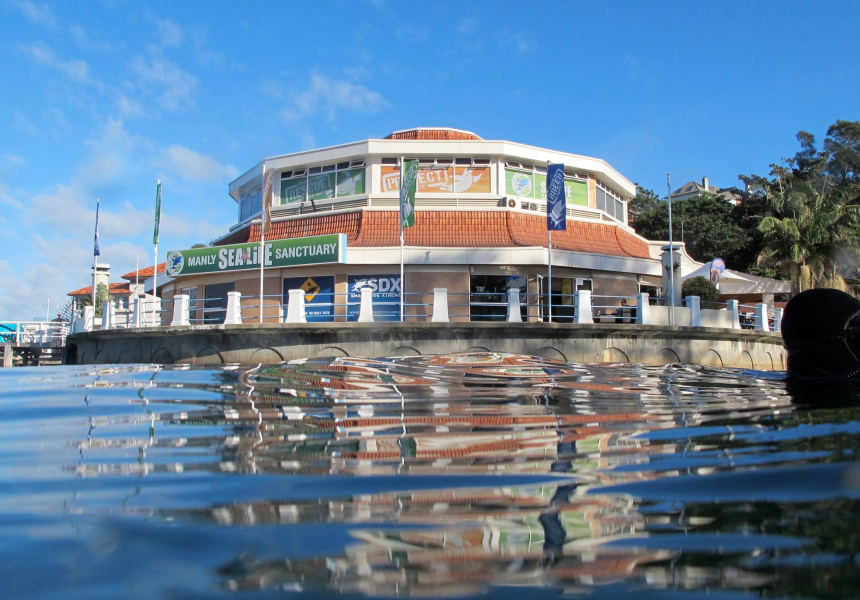 After 54 Years, Manly Sea Life Aquarium to Close in Two Weeks