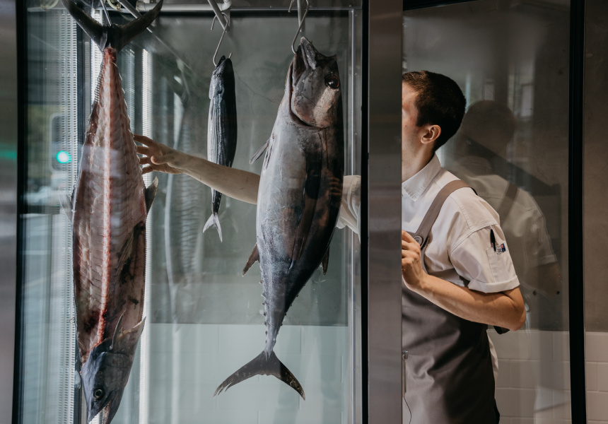悉尼Fish butcher的厨师Josh Niland