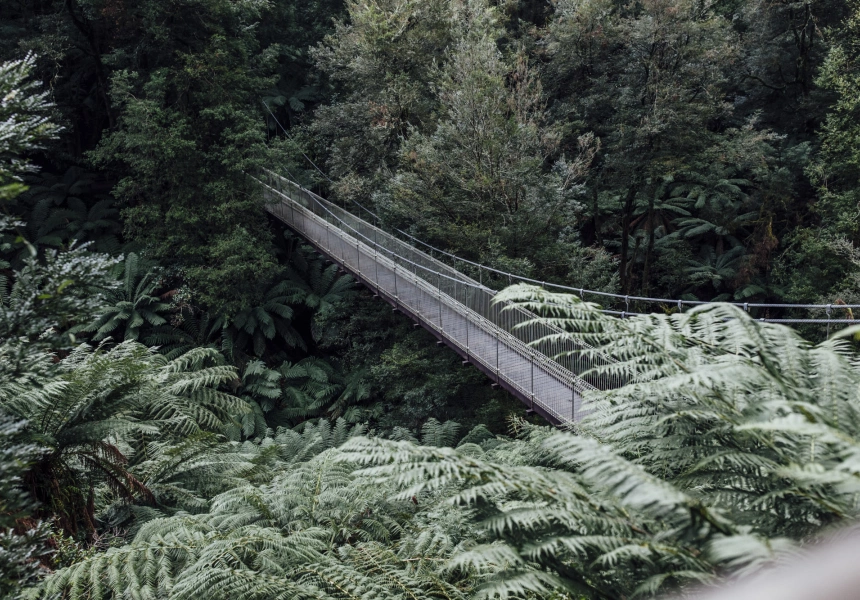 Grand Strzelecki Track, Tarra-Bulga National Park
