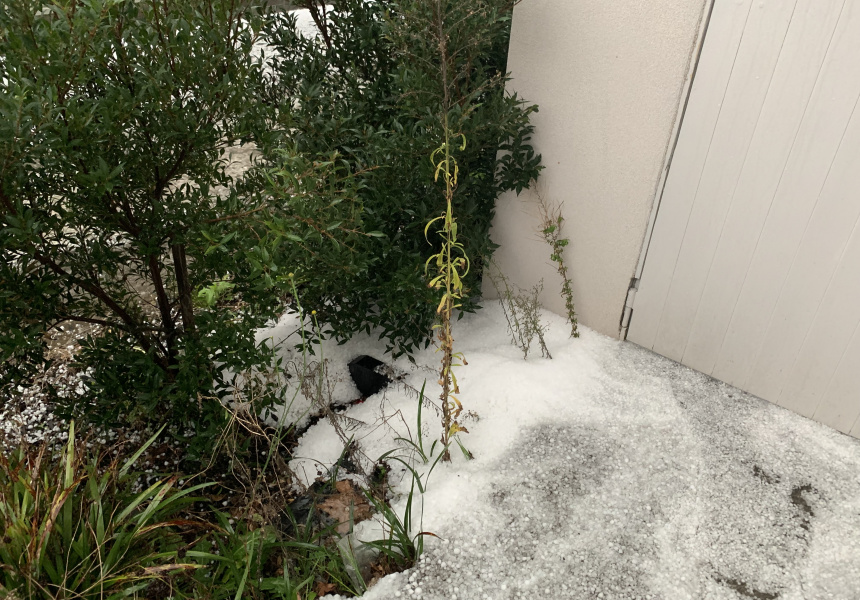 Parts of Melbourne Were Just Hit by the Mother of All Hailstorms