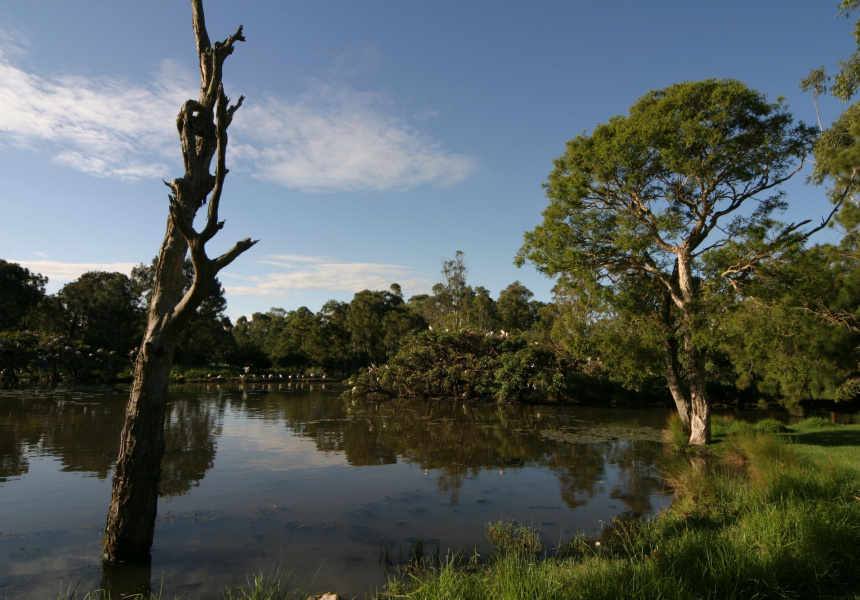 A 65-Kilometre Walking Trail That Stretches From Parramatta to Penrith