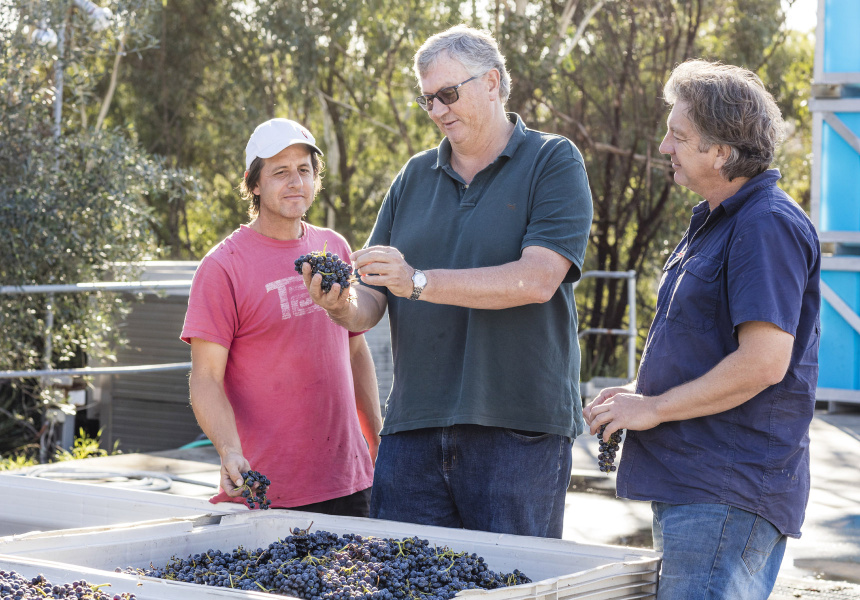 Winemaking Class in the Yarra Valley