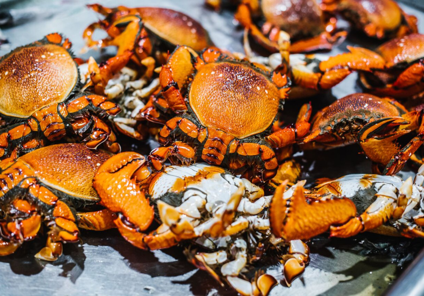Sydney’s First Online Fish Market 