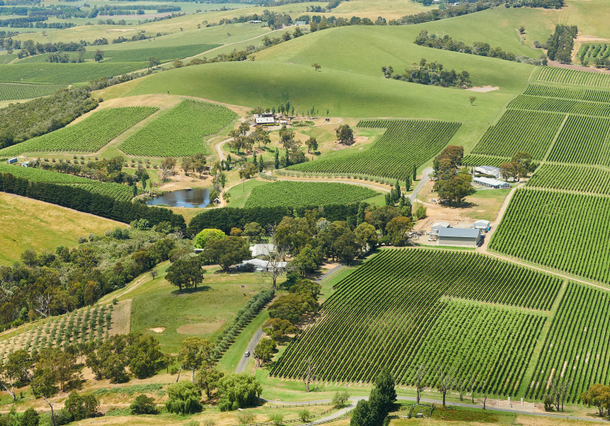 Best Wineries in the Yarra Valley