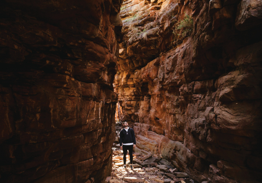 Mount Remarkable's Alligator Gorge
