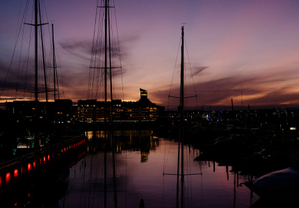 Best Rooftop Bars In Auckland