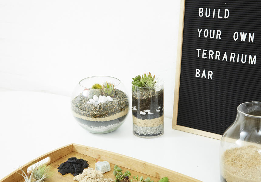 BuildYourOwnTerrarium Bar
