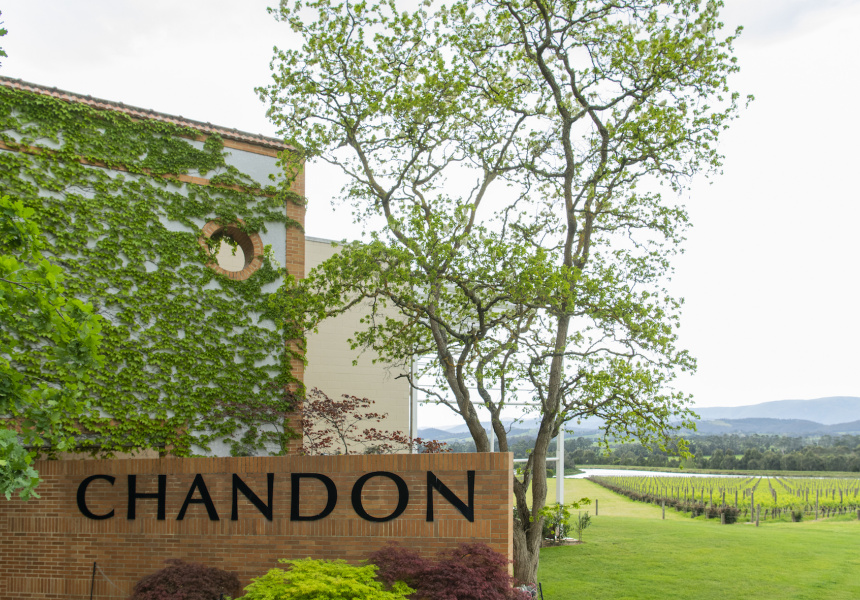 Interview: Dan Buckle, senior winemaker of Chandon