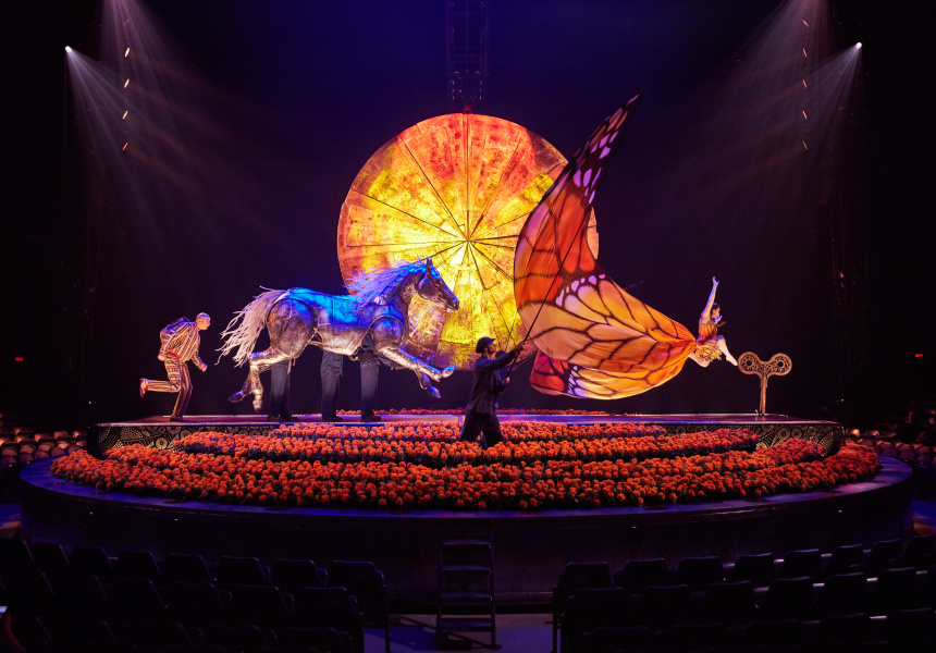 Cirque du Soleil Found Nelson Smyles on Instagram - Luzia Is the Aussie's Homecoming Performance