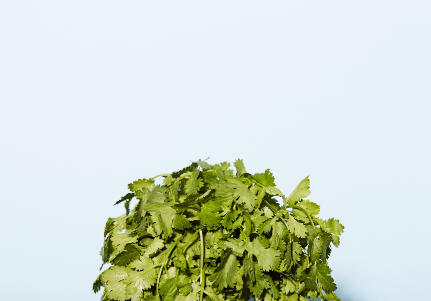 Food We Fight About: Coriander