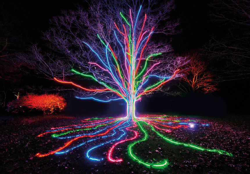 Lightscape at Vivid Sydney