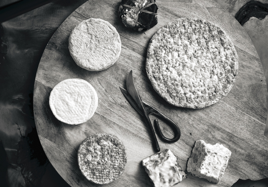 The World-Famous Cheesemaker – Who’s Not Allowed to Sell Cheese