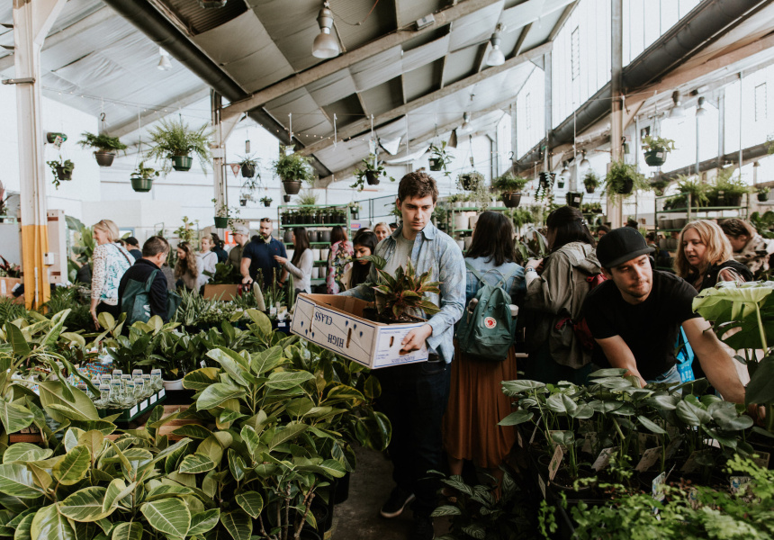 Another Indoor Plant Sale is Coming to Adelaide