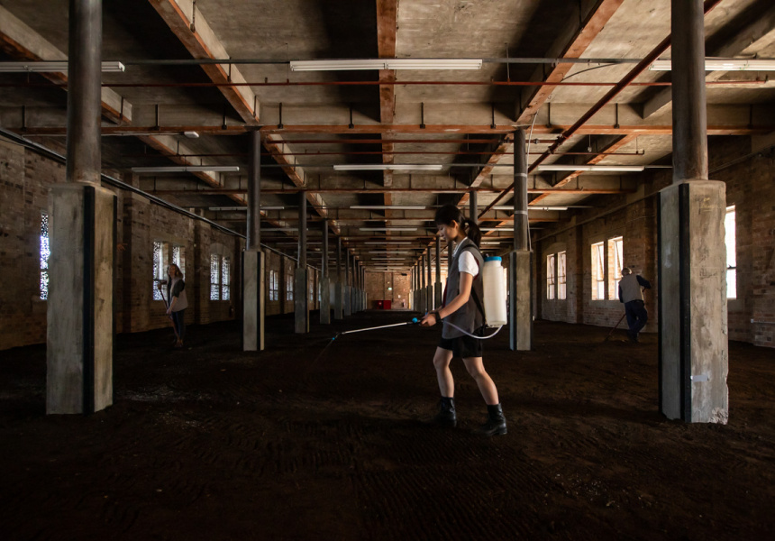 Kaldor Public Art Project 34: Asad Raza, Absorption, 2019. The Clothing Store, Carriageworks
