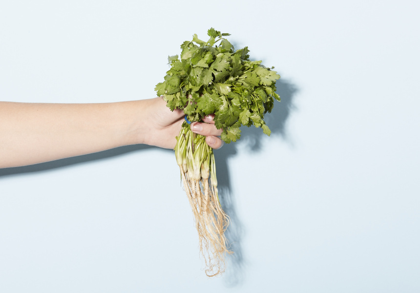 Food We Fight About: Coriander