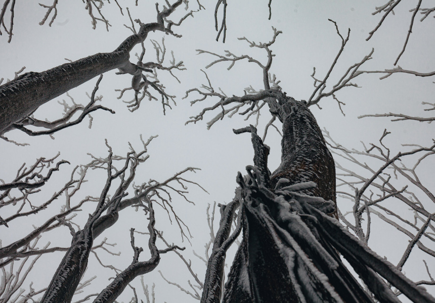 Unhurried by Nature Is an Exhibition Celebrating the Slow Beauty of the World Around Us
