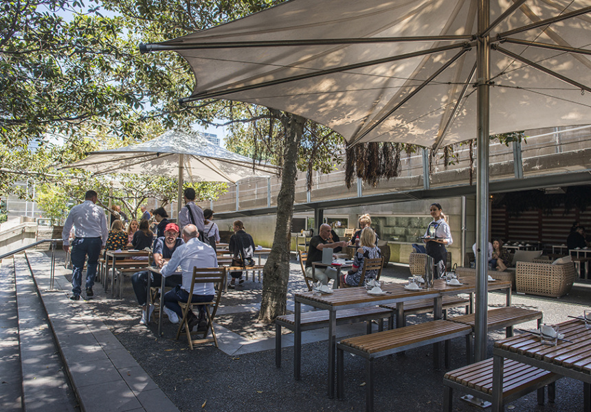 Three Decades of Bodhi A Sydney Vegan Institution