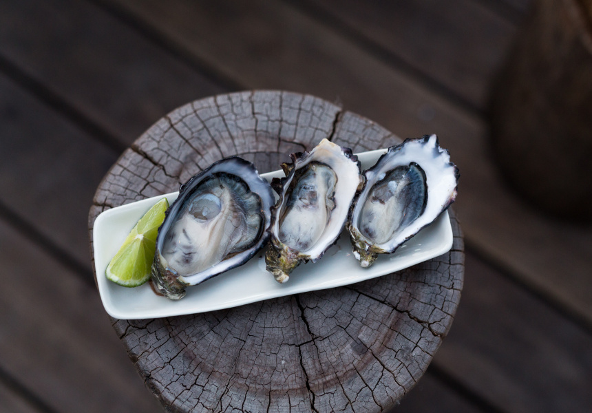 2KW Hosts the Adelaide Oyster Festival 