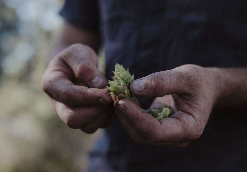 Brewing Change: The Rocky Ridge Story So Far