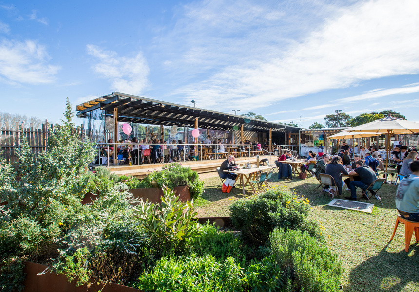 Winter Solstice Festival at Pocket City Farms