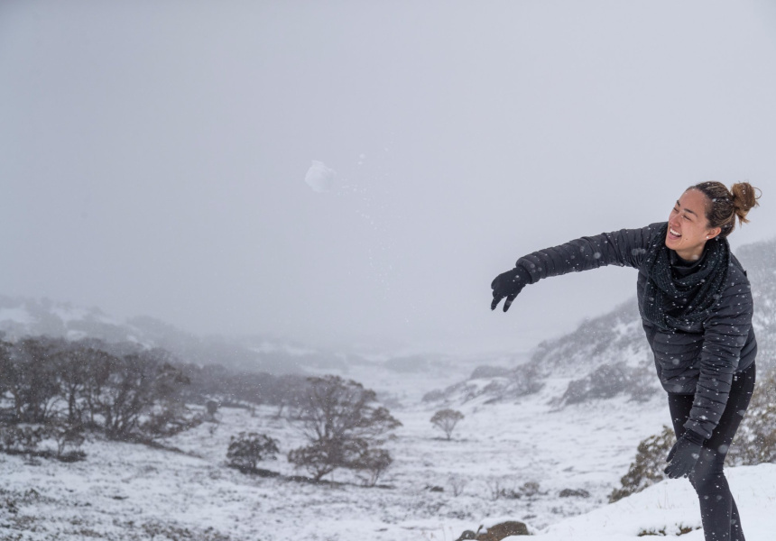 Toboggan Ban For Thredbo This Snow Season