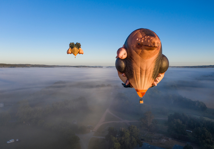 Patricia Piccinini's Skywhales Every Heart Sings
