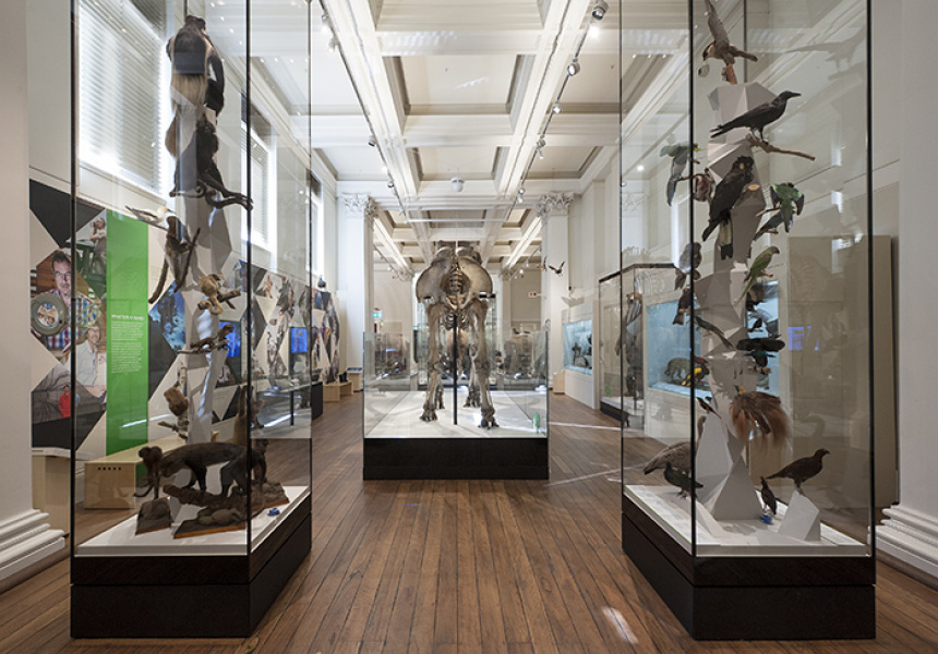 The Australian Museum Will Close for a Year From August 19