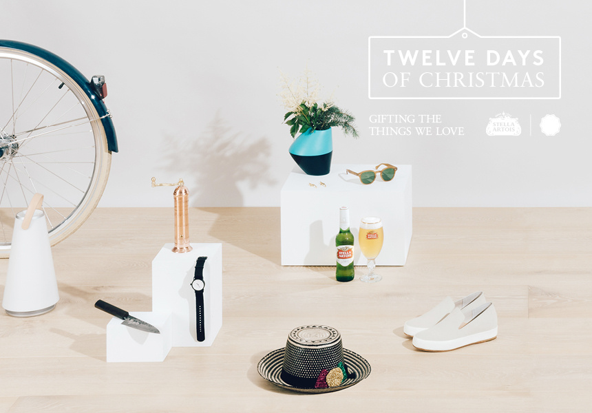 12 Days of Christmas Giveaway and Gift Guide